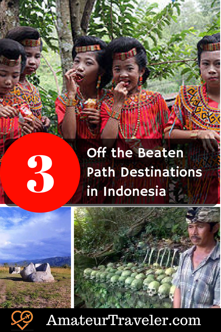 3 Off the Beaten Path Destinations in Indonesia #travel #Sulawesi #Bali 